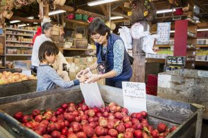 Labor Day Weekend – Apple Hill Growers Association